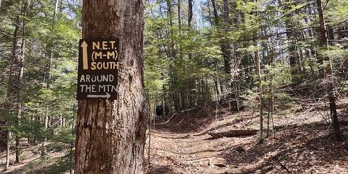 Hiking Trail - Mount Grace State Forest - Warwick, MA - Photo Credit Christine Welsh