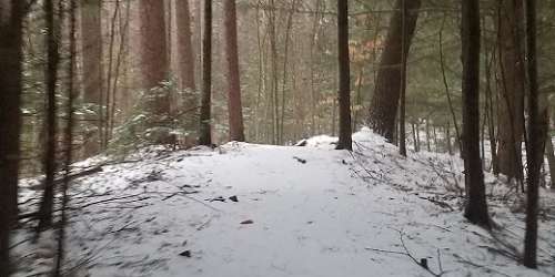 Winter Trail - Mount Grace State Forest - Warwick, MA - Photo Credit Jezrielle Grace