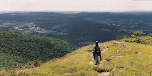 Hiking View - Mount Washington State Forest - Mt. Washington, MA - Photo Credit MA State Parks