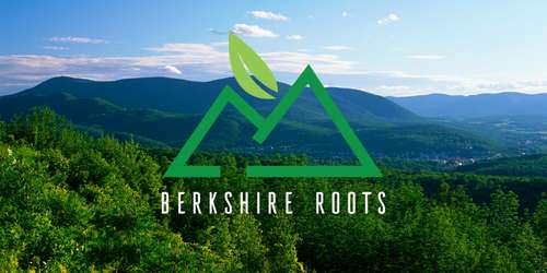 Berkshire Roots C - Boston & Pittsfield, MA