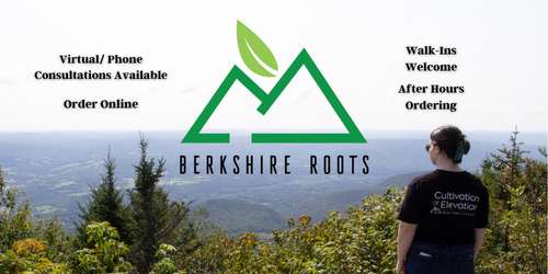 Berkshire Roots - Boston & Pittsfield, MA
