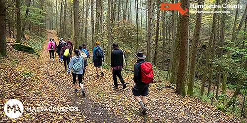 Forest Hiking - Adventure East - Sunderland, MA