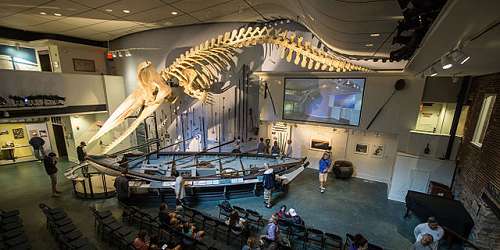 Nantucket Whaling Museum - Nantucket, MA