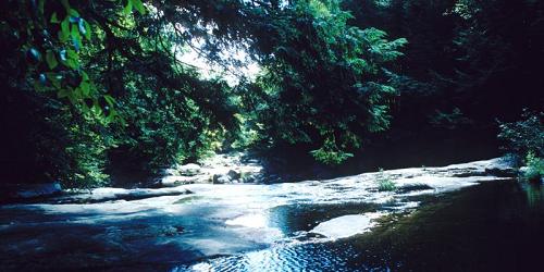 C.M. Gardner State Park - Huntington, MA - Photo Credit MA State Parks