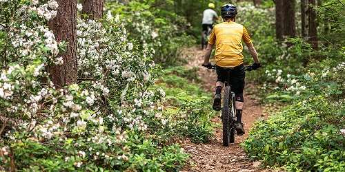 Biking in Leominster State Forest - North Central Massachusetts - Photo Credit Andrew Santoro