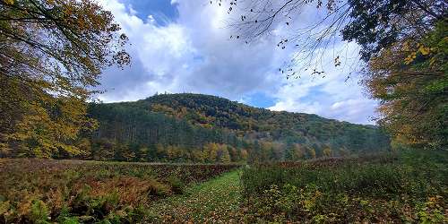Fall View at Mohawk Trail State Forest - Photo Credit Joshua Bellows via Google Maps