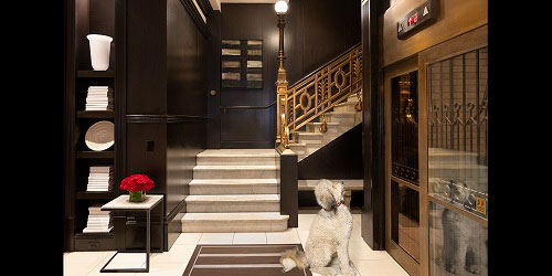 Dog Friendly Elevator - XV Beacon Hotel - Boston, MA