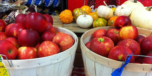 Lenox Apple Squeeze - The Berkshires of Western Massachusetts - Photo Credit Kim Ostellino