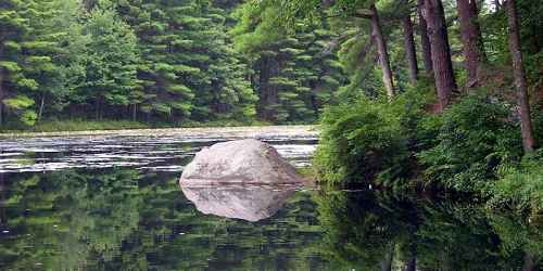 Wendell State Park - Wendell, MA - Photo Credit MA State Parks