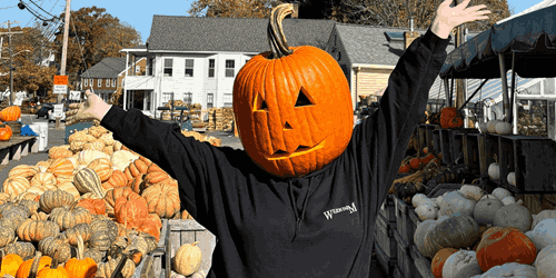 Fall Farmstand at Wilson Farm in Lexington, MA