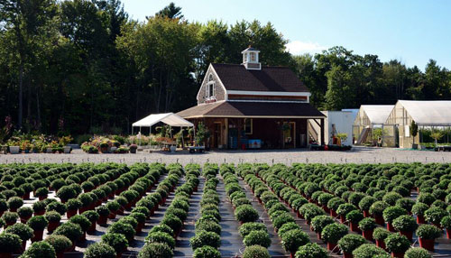 Farmstand and Garden in Lexington, MA - Greater Merrimack Valley