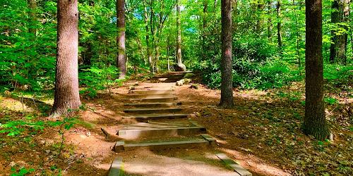 Wooded Staircase - Dunn State Park - Gardner, MA