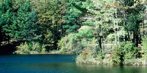 Leominster State Forest - Leominster, MA - Photo Credit MA State Parks