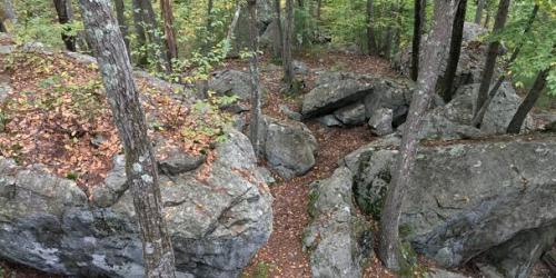 Noon Hill - Medfield, MA - Photo Credit Trustees of Reservations