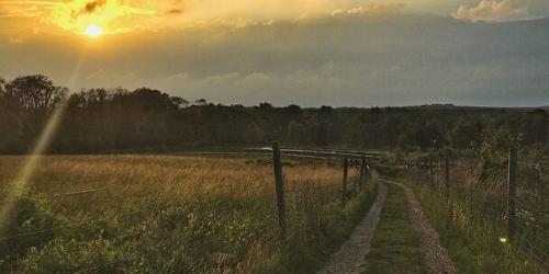 Weir River Farm - Hingham, MA - Photo Credit Peter Marotta