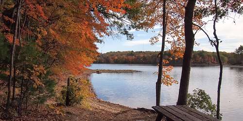 Lakeside Foliage - Hopkinton State Park - Hopkinton, MA - Photo Credit Jinseuk Oh