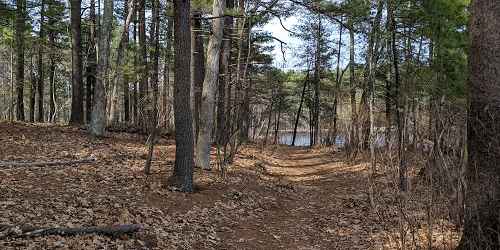 Lakeside Trail - Harold Parker State Forest - Andover, MA - Photo Credit Valentin Seremet