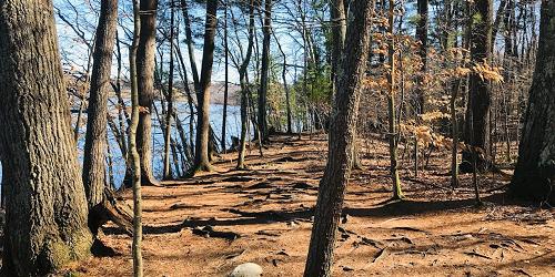 Hiking at Weir Hill - Andover, MA - Photo Credit Daniel Suit