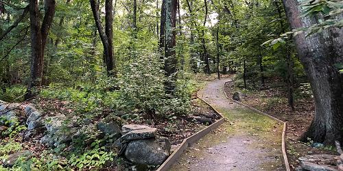 Trails at Malcolm Preserve - Carlisle, MA - Photo Credit Trustees of Reservations