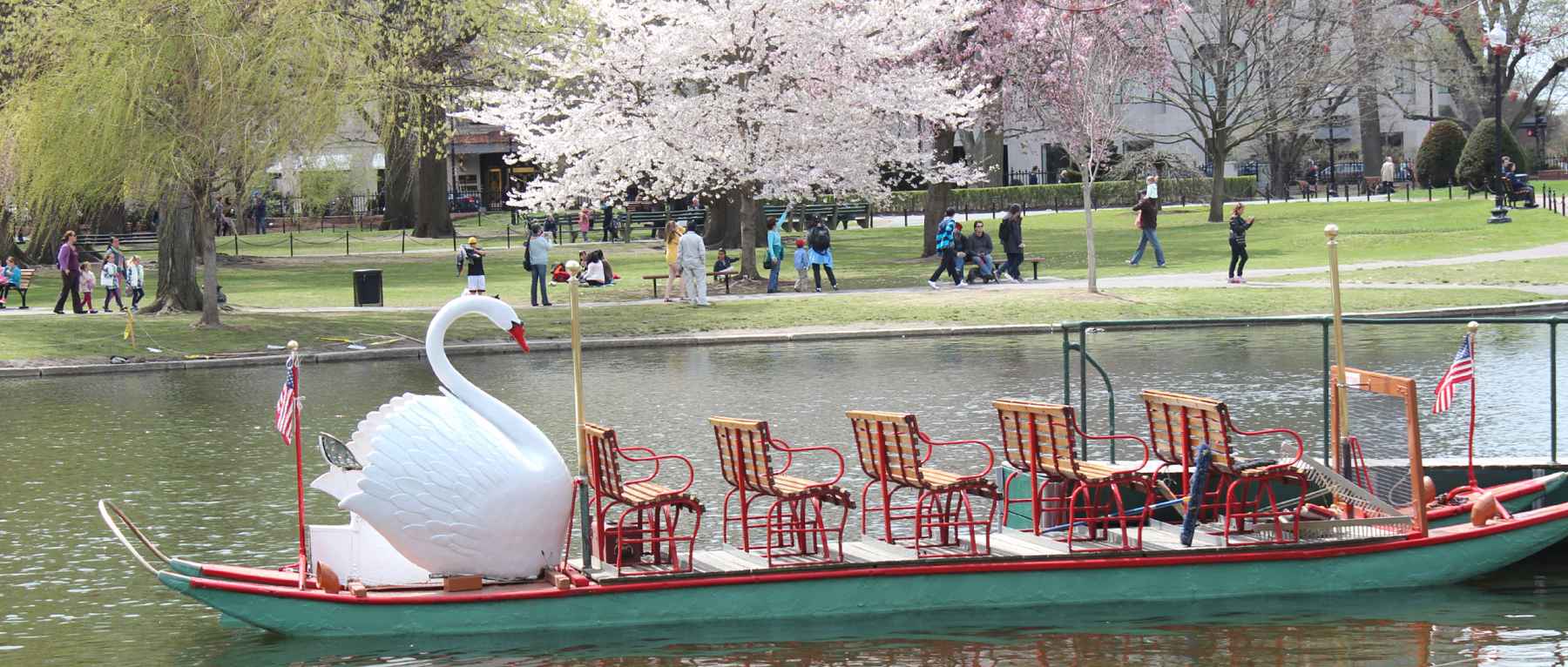 Swan Boats at the Boston Public Garden