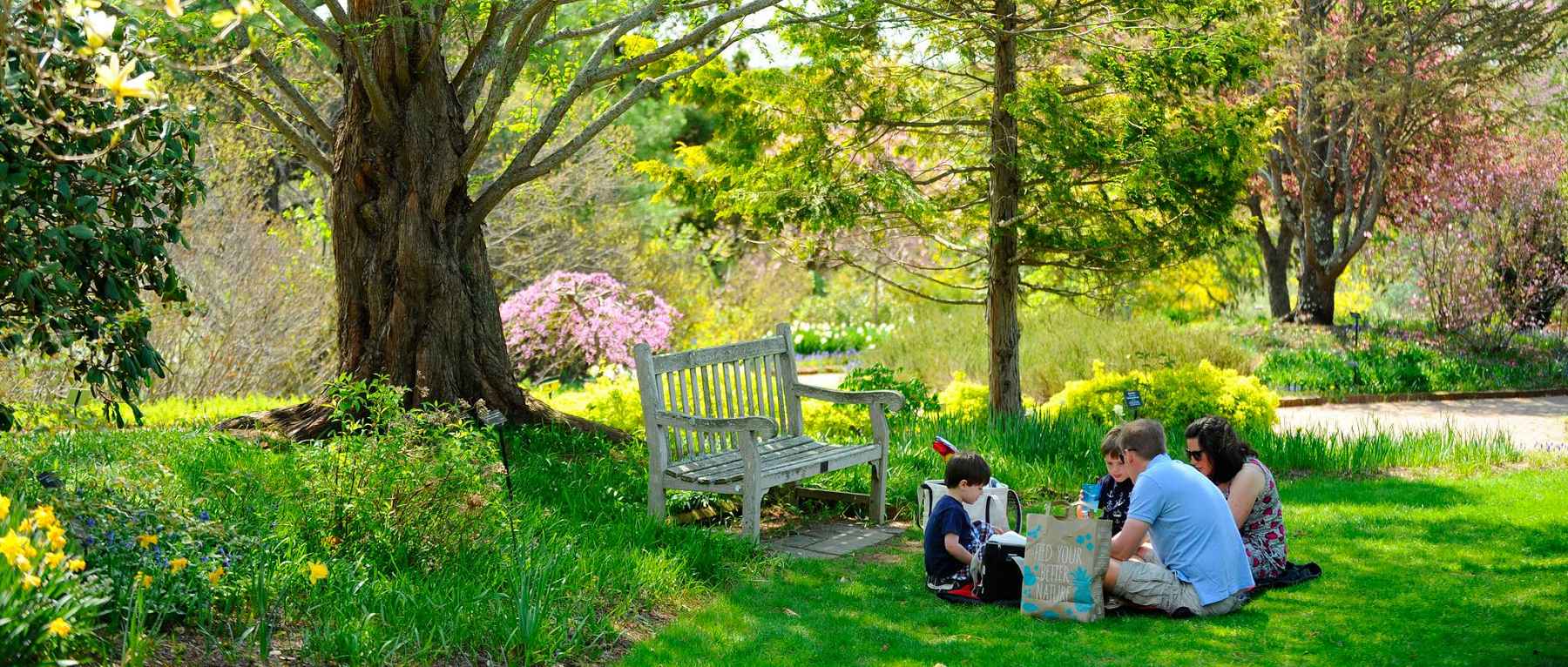 Spring Picnic at New England Botanic Garden at Tower Hill - Boylston, MA