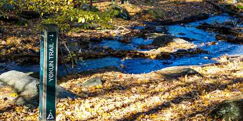 Trails - Pleasant Valley Wildlife Sancturary - Lenox, MA - Photo Credit Massachusetts Audubon Society